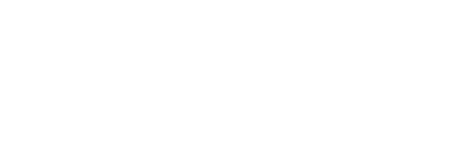 The BluntFull Logo